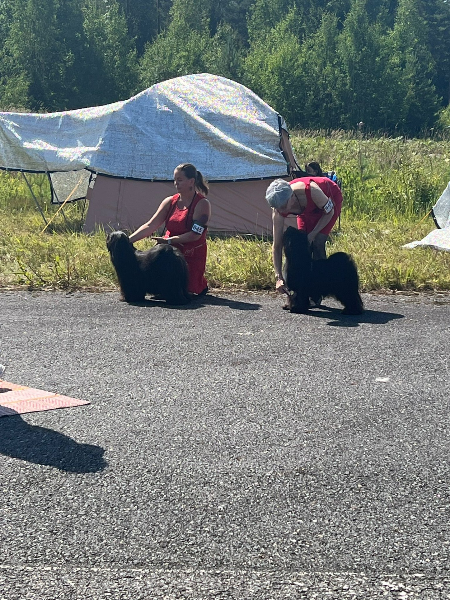 Valioluokka Chambanya sisarukset Lyyli ja Ursula